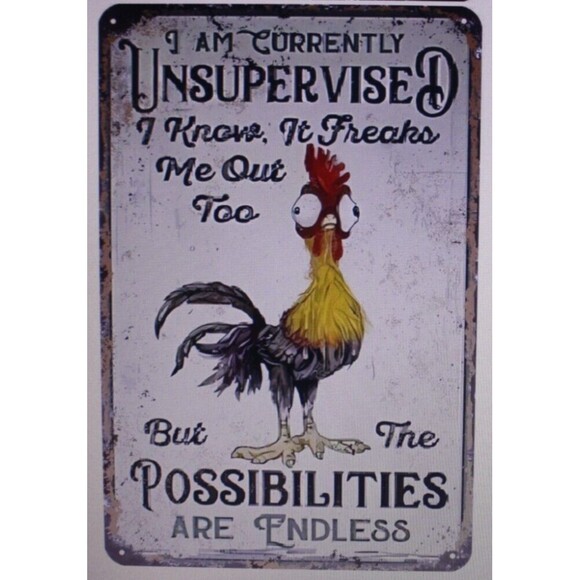 Metal Sign -I Am Currently Unsupervised-Humor Gift Wall Decor Man Cave She Shed - Picture 1 of 2